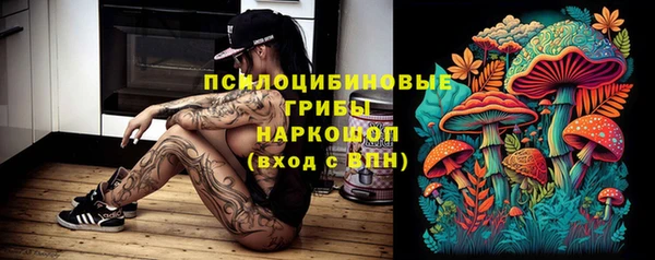 apvp Верхний Тагил