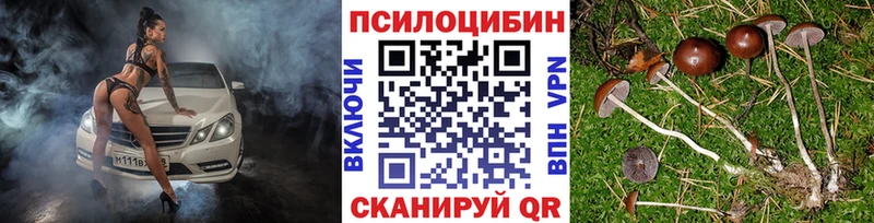 Псилоцибиновые грибы мицелий  Купить где  Карабаш 
