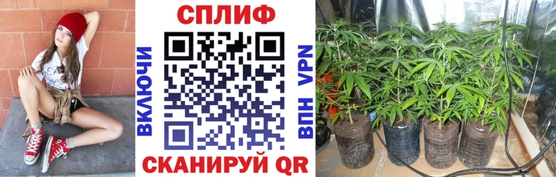Купить  Карабаш  Марихуана гибрид 